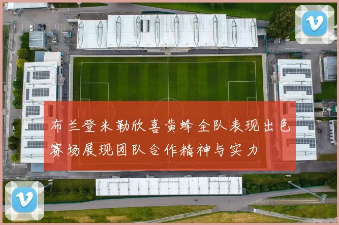 布兰登米勒欣喜黄蜂全队表现出色赛场展现团队合作精神与实力