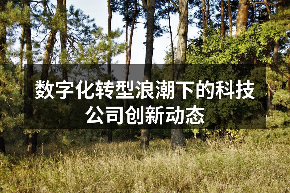 科技公司数字化转型的创新场景